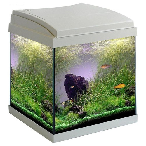 Acquario mtb milo - acquario, cubik