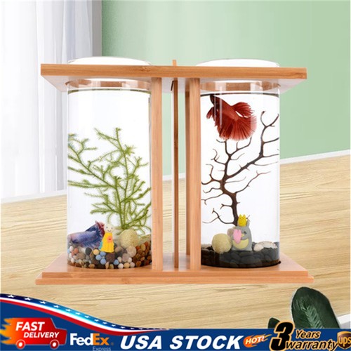 Betta fish tank - betta,