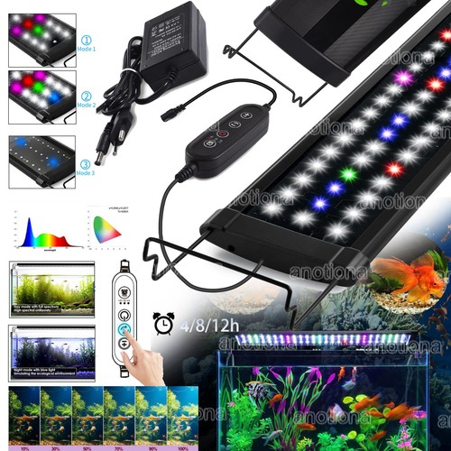 Illuminazione acquario led rgb - illuminazione,