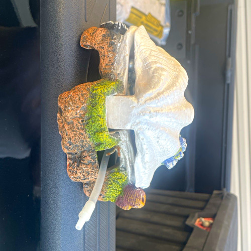 Ornamento conchiglia - , di