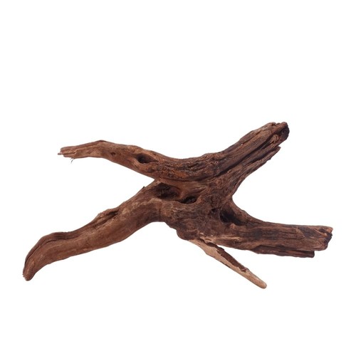 Aquaone driftwood radice di - l,