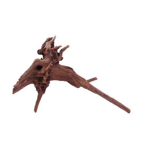 Aquaone driftwood radice di - l,