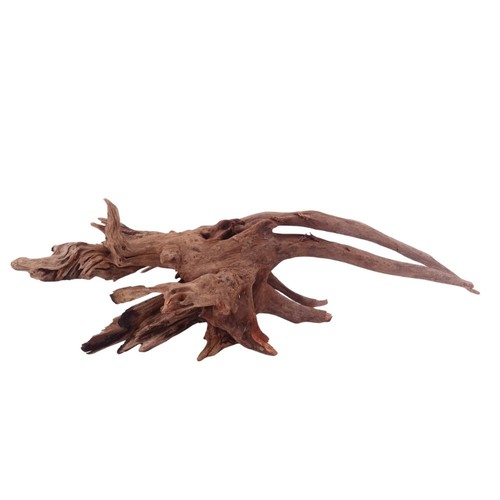 Aquaone driftwood radice - aquaone,