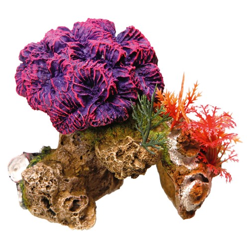Nobby decorazione acquario - nobby,