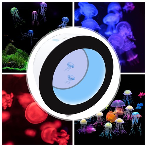 Mini serbatoio meduse acquario