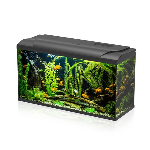 Aqpet acquario acqua dolce - acquario,