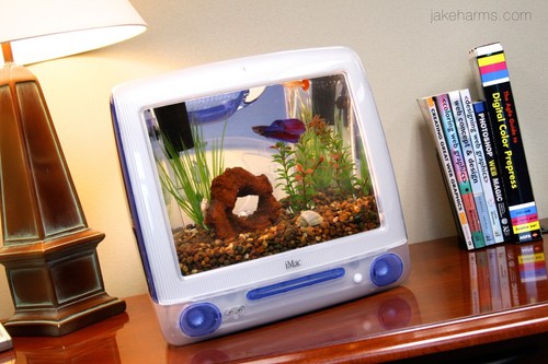 Macquarium imacaquarium apple - imacaquarium.,