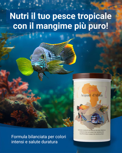 Mangime scaglie per pesci - in,