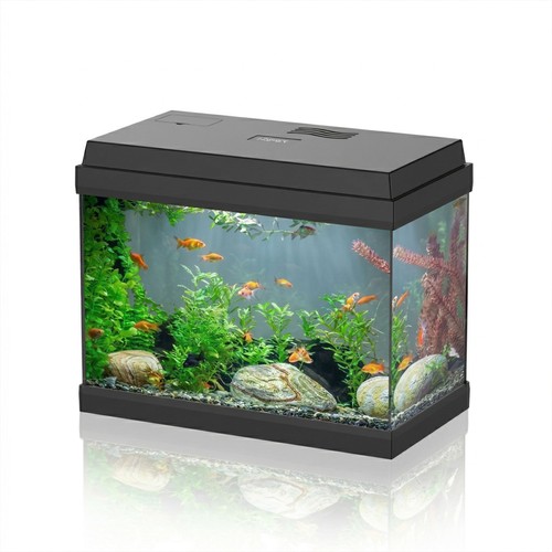 Aqpet acquario vetro - in, per