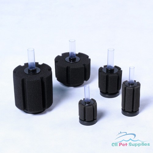 Filtro spugna bio allevamento - bio,