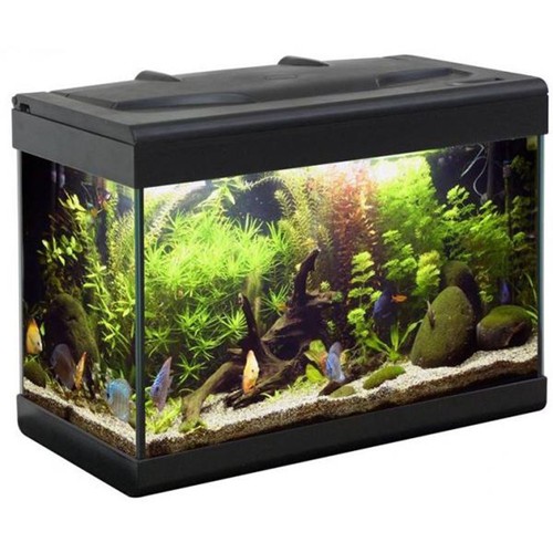 Acquario mtb aloha ledline - , 40