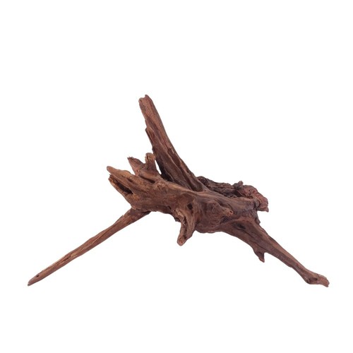 Aquaone driftwood radice di - aquaone, l
