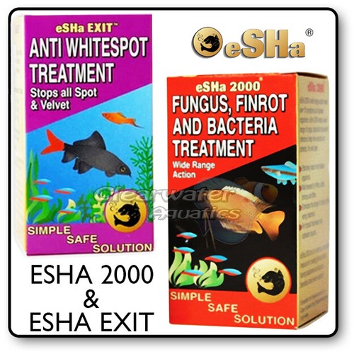 Esha 2000 exit - funghi, finrot