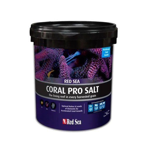 Red sea coral pro - sea, sale
