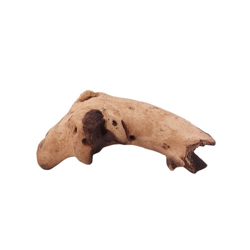 Decorazione radice acquario - radice, di