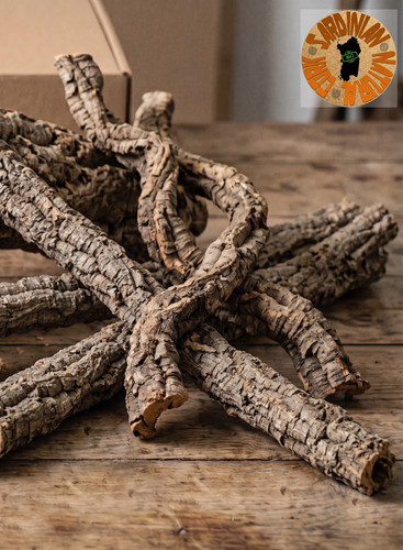 Rami dritti curvi di quercia - &,
