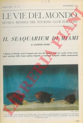 Acquari segre il - segre,