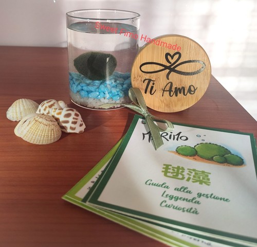 Marimo barattolo vetro - marimo, di