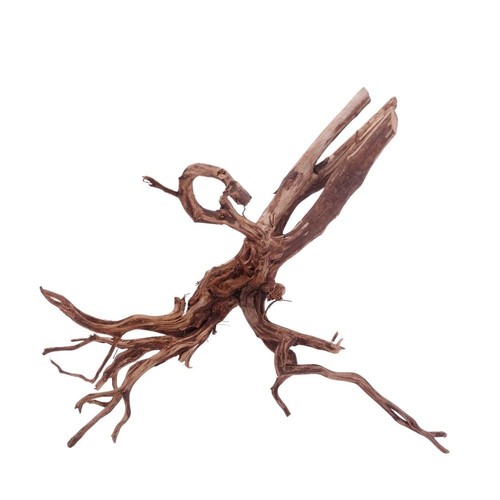 Radice acquario deco - radice,